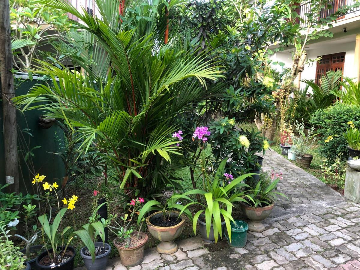 Coral Palm Villa And Apartment Unawatuna Εξωτερικό φωτογραφία
