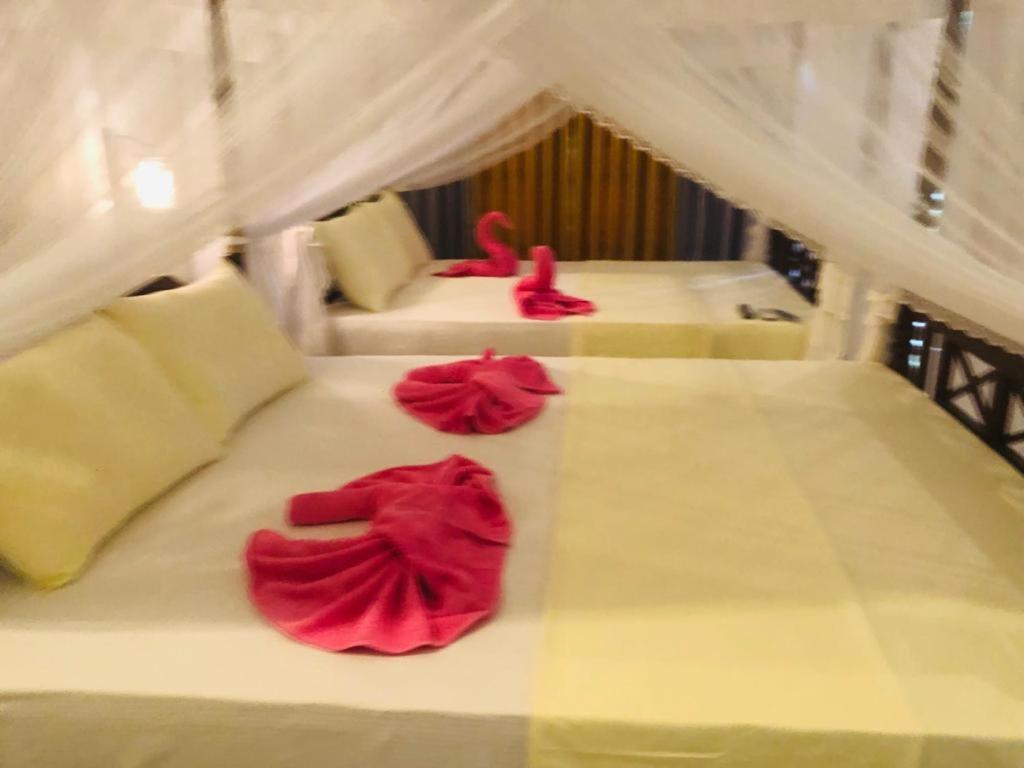 Coral Palm Villa And Apartment Unawatuna Εξωτερικό φωτογραφία