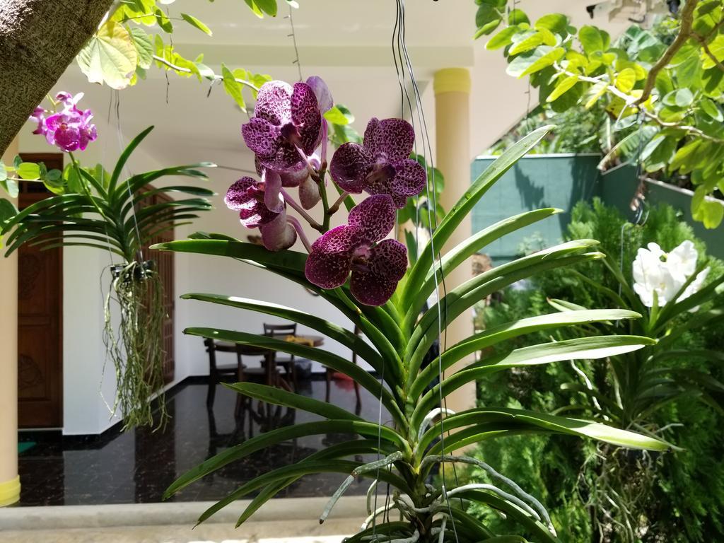 Coral Palm Villa And Apartment Unawatuna Εξωτερικό φωτογραφία